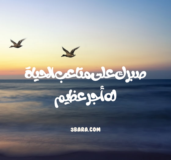 صور كلام جميل عن الحياة، كلام واقعي عن الحياة، كلمات شعر قصيرة عن الحياة