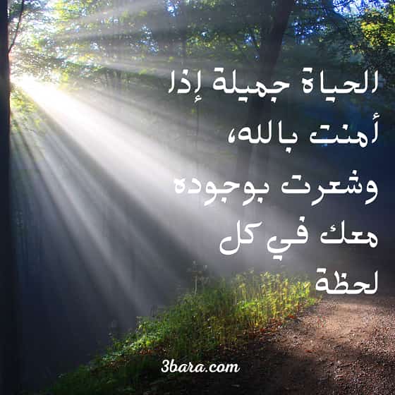 صور كلام جميل عن الحياة، كلام واقعي عن الحياة، كلمات شعر قصيرة عن الحياة
