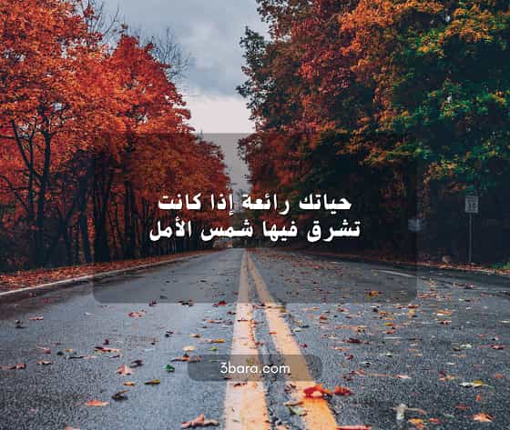 صور كلام جميل عن الحياة، كلام واقعي عن الحياة، كلمات شعر قصيرة عن الحياة