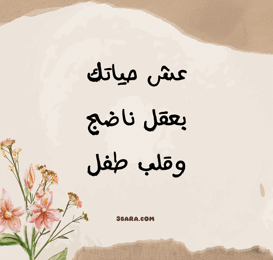 صور كلام جميل عن الحياة، كلام واقعي عن الحياة، كلمات شعر قصيرة عن الحياة