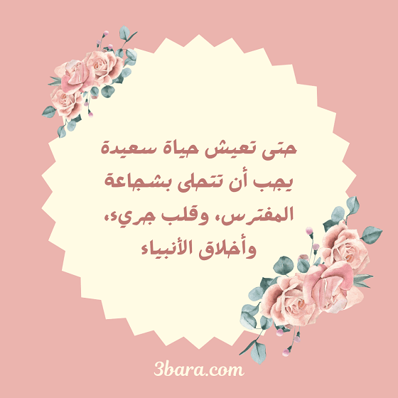 بالصور عبارات جميلة عن الحياة، عبارات جميلة عن الحياة