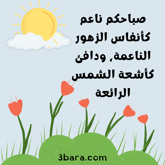 صورة شمس وخضرة مع عبارات صباحية ايجابية