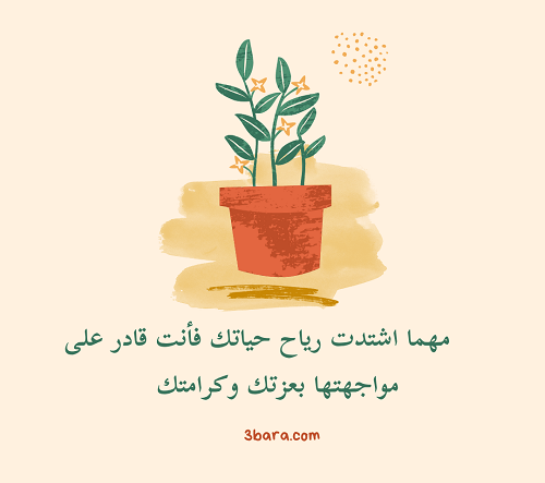 صور عن عزة النفس، عبارات عن عزة النفس والشموخ، كلام عن عزة النفس وقوة الشخصية