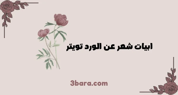 أجمل ابيات شعر عن الورد